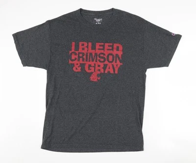 Champion Men's Grey College Graphic T-Shirt Size L - Image 1 of 4