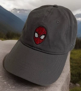 Marvel Spider-man Protector Of New York SnapBack Cap Hat Youth Size Gray - Picture 1 of 7