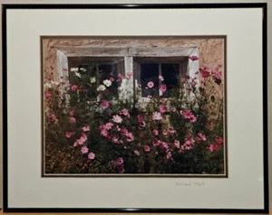 Michael Stipek Signed Photo Print “cosmos” Art Photograph 16x20" Matted Frame - Picture 1 of 8
