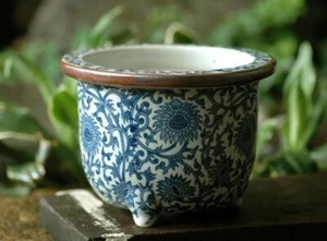 Seto Yaki Ware Bonsai Topf 6,0 Rhapis Excelsa Arabesque Kreis Japanischer Übertopf - Bild 1 von 6