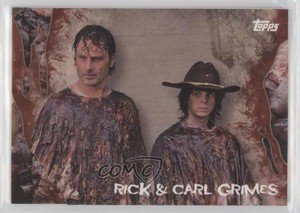 2016 Topps The Walking Dead Survival Box Rotten 11/25 Rick Grimes Carl & #47 a4e