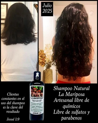 Shampoo De Cola De Caballo, Formula Original Crecimiento  De Cabello  16 Onzas - Image 1 of 4
