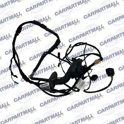 Arnés de cableado para puerta delantera derecha BMW 550i 2008-2010 9163051 OEM Foto 1 de 4