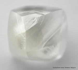 G IMPECABLE BLANCO LIMPIO 0,73 QUILATES DIAMANTE EN BRUTO NATURAL, DIAMANTE GENUINO SIN CORTAR - Imagen 1 de 6