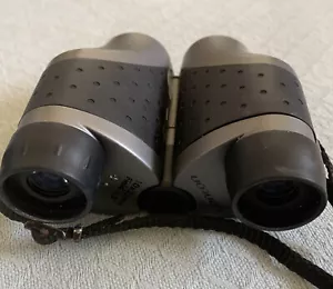 Centon 10 X 25mm Black Folding Field 5.5 Wide Compact Binoculars Vintage Case. - Picture 1 of 8