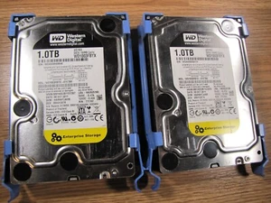 Western Digital RE4 1000GB Internal 7200RPM 3.5" (WD1003FBYX) HDD (2)pcs - Picture 1 of 2