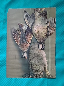 Chromolithograph Antique Print Hanging Quail and Rabbit dead game wall art - Picture 1 of 16