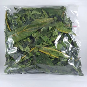 Feuilles de papaye séchées feuilles entières pur thé à Hebal biologique 30 g-200 g - Photo 1/8
