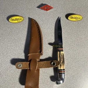 Rare Western Knife 628 Stamped H New With Stag Handle & Sheath Beautiful Knife - Picture 1 of 11