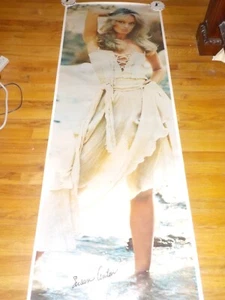 Susan Anton Poster Door poster 24 x 72 inches - 1979 - Picture 1 of 2