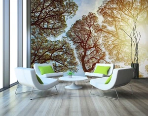 3D Sunshine Forest G3753 Wallpaper Wall Murals Removable Self-adhesive Erin - Picture 1 of 11