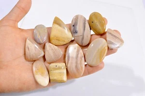 Lote de 11 piezas de piedras preciosas sueltas de jaspe de lujo natural de 583 quilates 30x20-52x26 mm #2948 - Imagen 1 de 4