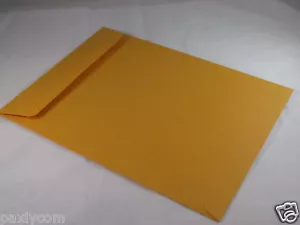10 Manila 9 x 12 Kraft Katalog Versandumschläge braun selbstversiegelnde Versender 9 Zoll x 12 Zoll - Bild 1 von 4