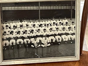 vintage New York Yankees baseball team photograph Mikey mantle Yogi Beria 1950 - Picture 1 of 4