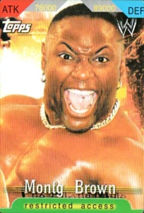2006 Konami Insider Topps WWE Restricted Access Card Game Brown - Picture 1 of 1
