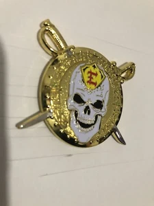 USMC 2nd ECHO Company Marine Warrior Spirit 1st SGT Paris Island Challenge Coin - Picture 1 of 6