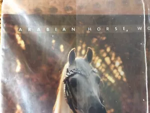 Arabian Horse World June 2007 Vol 47 Never Opened! Still Wrapped! - Picture 1 of 7