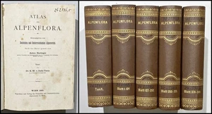 Botanik Alpen Wörterbuch / Hartinger Torre - Atlas der Alpenflora 5 Bde. 1882 - Picture 1 of 1