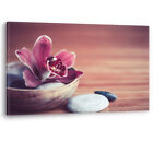 Zen Flower Orchid Pebble Relax Beauty Care Framed Canvas Wall Art Picture Print