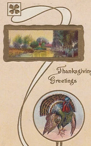 Turkey Thanksgiving Embossed Julius Bien Postcard - Picture 1 of 3