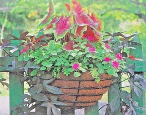 22" Lg Tom Chambers Round Window Wall Hanging Planter Hayrack For Flowers-NEW - Picture 1 of 4