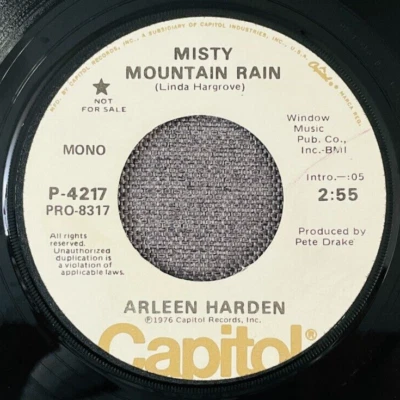 PROMO - Arlene Harden – Misty Mountain Rain - Same Both Mono/Stereo 7" 45 RPM - Image 1 of 4