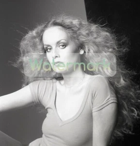 TWIGGY Pokes Thru on a Cold Day ** HI-RES Pro Archival Photo (8.5"x11") - Picture 1 of 1