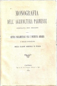Parmenser Landwirtschaftsmonographie zusammengestellt im Auftrag der Junta Parlame - Bild 1 von 1