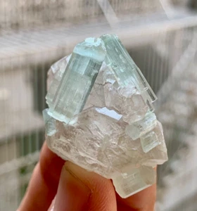Rare Light Color Tourmaline Crystals on DT Quartz Afghanistan - Picture 1 of 12