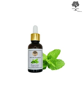 100% Greek Pure Peppermint Oil Therapeutic Grade Beard Growth Mentha Piperita - Picture 1 of 6