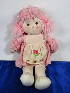 "Abito MTY International Vintage Ragdoll con capelli rosa e grembiule gingham 16" - Foto 1 di 7