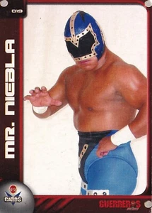 TARJETA DE REVISTA MR NIEBLA 2006 GUERREROS LUCHA LIBRE #19 AAA CMLL CAMPEÓN - Imagen 1 de 3