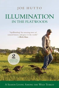 Illumination in the Flatwoods: A Season With The Wild Turkey by Hutto - Imagen 1 de 1