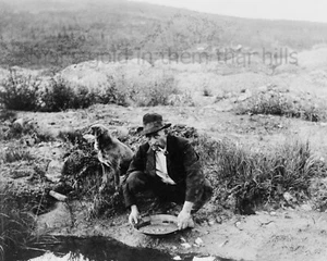 Minatore con cane Panning per oro fotografia miniera 1916 Alaska 8x10 stampa fotografica - Foto 1 di 2