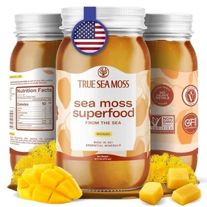 Wildcrafted Irish Sea Moss Gel | Made with Dried Seaweed Seamoss | Mango - Picture 1 of 9