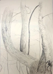 Francesca MARZORATI, 2 disegni, BELLISSIMI!!! - Foto 1 di 3