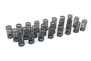 BMW Performance Valve Springs 330d 530d (M57 M57N M57N2 engines) - Picture 1 of 1
