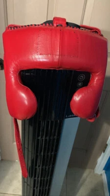 Cleto Reyes Entrenamiento Clásico Protección de Mejillas Boxeo Arnés Foto 1 de 4