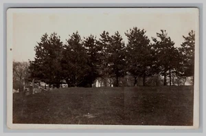 Cartolina: Alberi RPPC su una collina - Non spedita - Foto 1 di 2