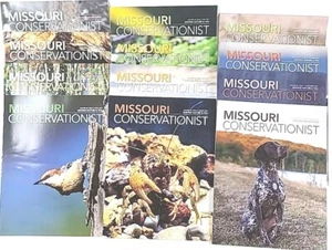 Missouri Conservationist 2021 Komplettsatz Januar - Dezember Zeitschriften - Bild 1 von 24