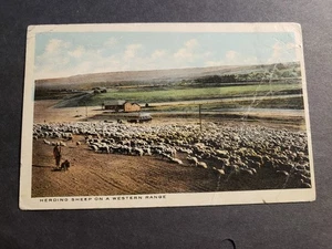 ALCOVA, NATRONA County, WYOMING 1911 Herding Sheep Postcard WY - Picture 1 of 2