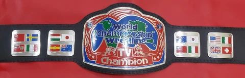 GEOGRIA WORLD CHAMPIONSHIP WRESTLING TV CHAMPION BELT WITH BRASS PLATES Cover