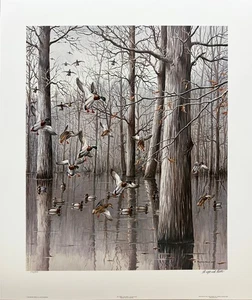 Maynard Reece - Oak Timber - Mallards - Signed/numbered Print - Picture 1 of 2