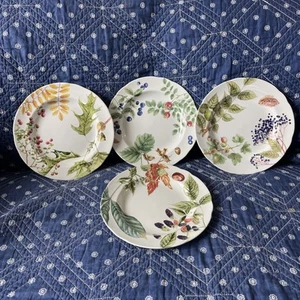 Juego de platos botánicos Spode Woodland Harvest 9" ensalada x4 diferentes frutas A+ 2006 - Imagen 1 de 8