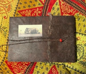 Ashes and Snow Photographs by Gregory Colbert Tokyo Art Book Flying Elephants - Picture 1 of 1