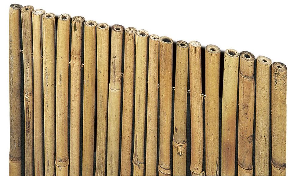 VERDELOOK Arella River in cannette di bamboo pieno, 1x3 m, coperture recinzioni