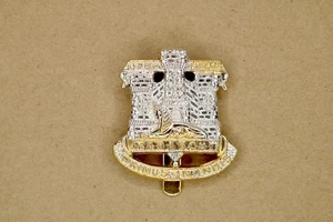 Original Devon & Dorset Cap Badge British Army Military Dress Uniform - Picture 1 of 2