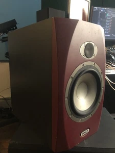 Tannoy Reveal 6P altoparlante passivo monitor da studio - TESTATO FUNZIONANTE OTTIMO - Foto 1 di 2