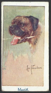 MOUSTAFA - LEO CHAMBERS DOGS HEADS - #40 MASTIFF - Picture 1 of 2