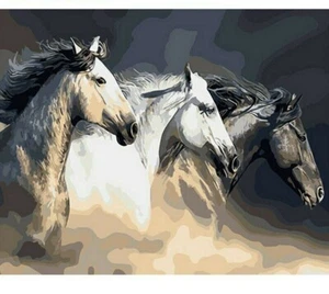 Paint By Numbers Adults kids Running Horses DIY Painting Kit 40x50CM Canvas - Picture 1 of 10